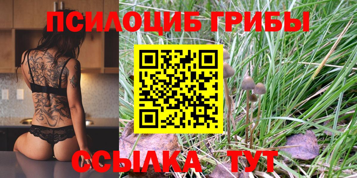 Гай  Псилоцибиновые грибы Magic Shrooms  купить   Вход с VPN 