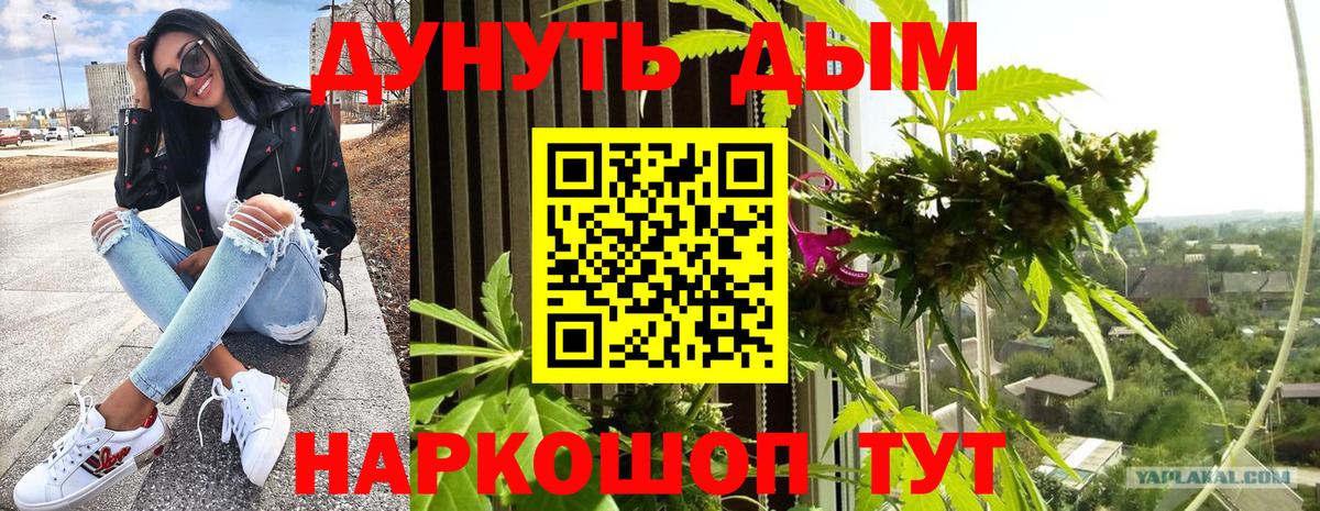 МАРИХУАНА Bruce Banner  Вход с VPN  Гай  Бошки марихуана гибрид  Канабис план 